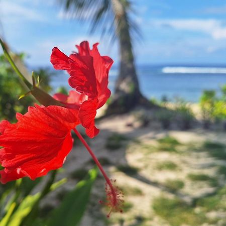 Bamboo Surf Beach San Isidro  المظهر الخارجي الصورة