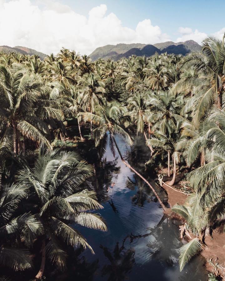 Bamboo Surf Beach San Isidro  المظهر الخارجي الصورة