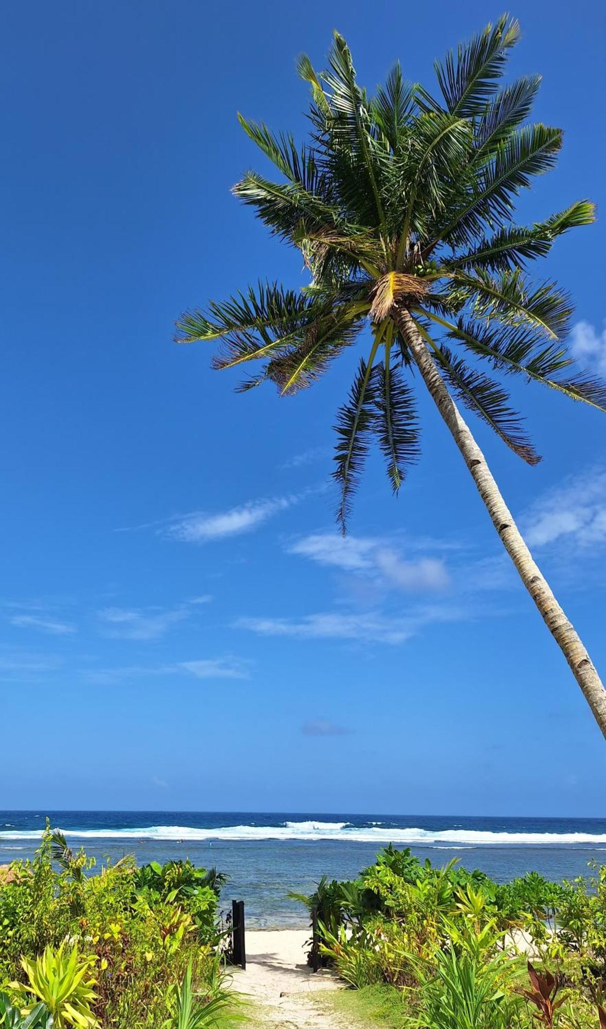Bamboo Surf Beach San Isidro  المظهر الخارجي الصورة