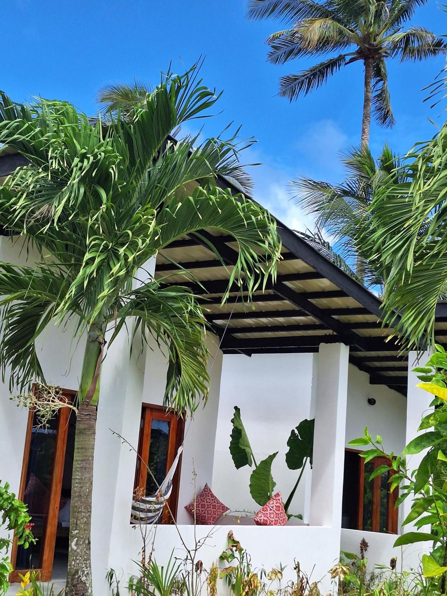 Bamboo Surf Beach San Isidro  المظهر الخارجي الصورة